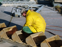 Becherwerk Demontage Gurt und Becher